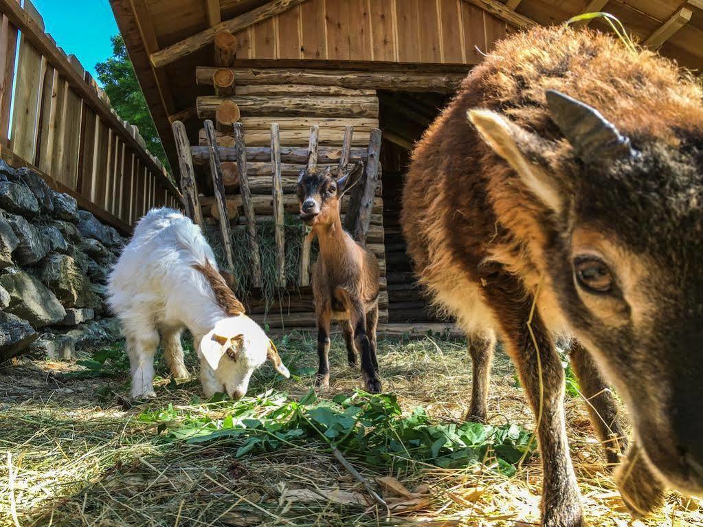 Hotel Gasthof Hinteregger Bad Kleinkirchheim Eksteriør billede